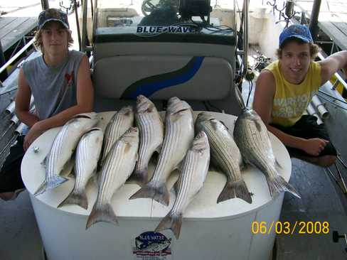 Nice Striped Bass