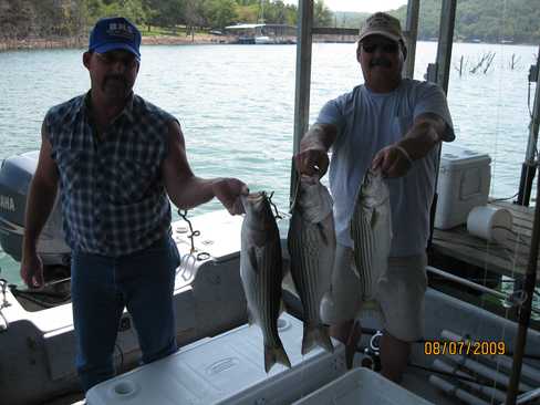 Nice Striped Bass