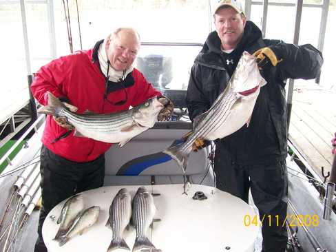 Nice Striped Bass