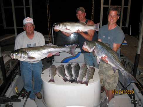 Nice Striped Bass