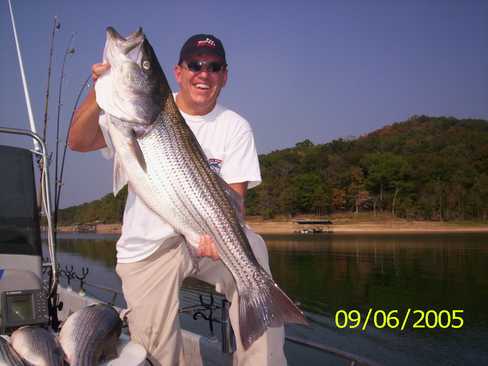 Nice Striped Bass