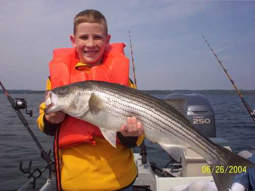 Nice Striped Bass