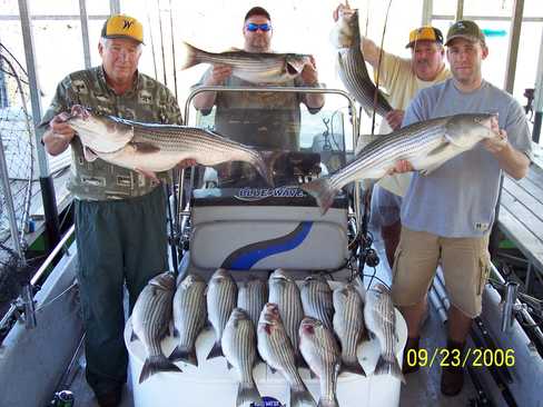 Nice Striped Bass