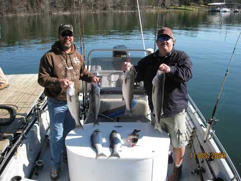 Nice Striped Bass