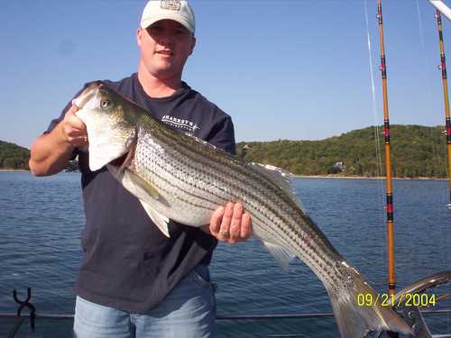 Nice Striped Bass