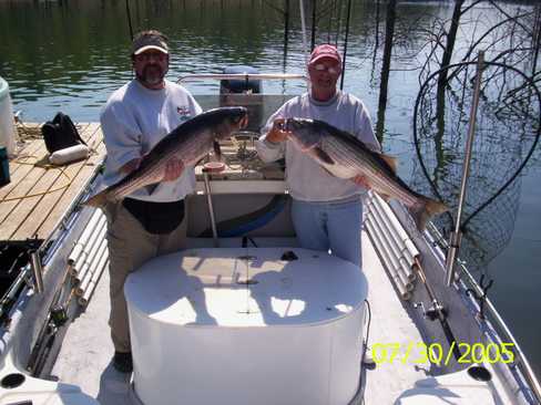 Nice Striped Bass