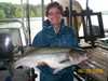 (06/10/2008) - Nice Striped Bass