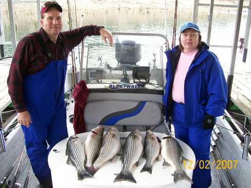 Nice Striped Bass