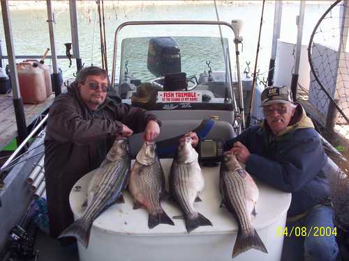 Nice Striped Bass