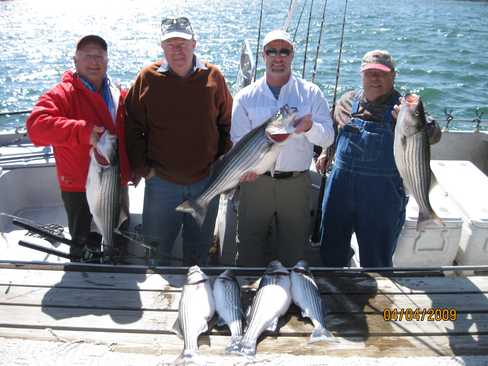 Nice Striped Bass