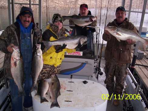 Nice Striped Bass