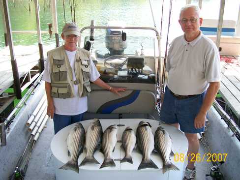 Nice Striped Bass