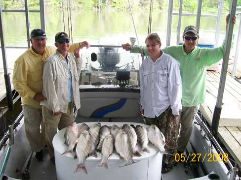 Nice Striped Bass