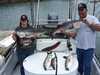 (07/30/2004) - Nice Striped Bass