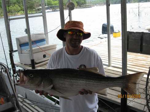 Nice Striped Bass