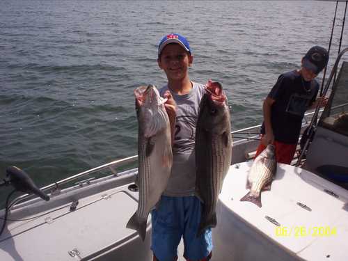 Nice Striped Bass