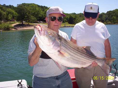Nice Striped Bass