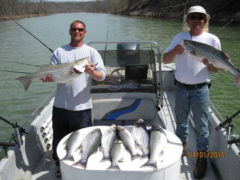 Nice Striped Bass