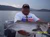 (08/23/2006) - Nice Striped Bass