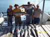 (09/16/2006) - Nice Striped Bass