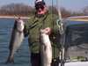 (03/31/2004) - Nice Striped Bass