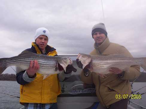 Nice Striped Bass