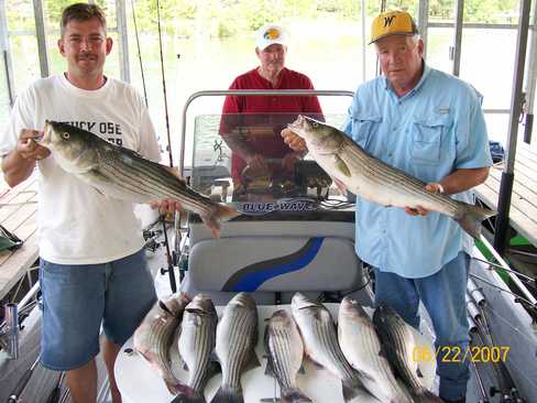 Nice Striped Bass