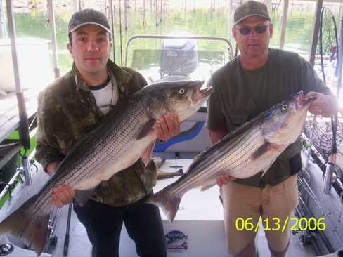 Nice Striped Bass