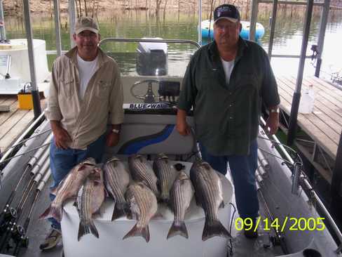 Nice Striped Bass