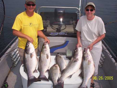 Nice Striped Bass