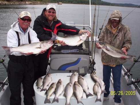 Nice Striped Bass