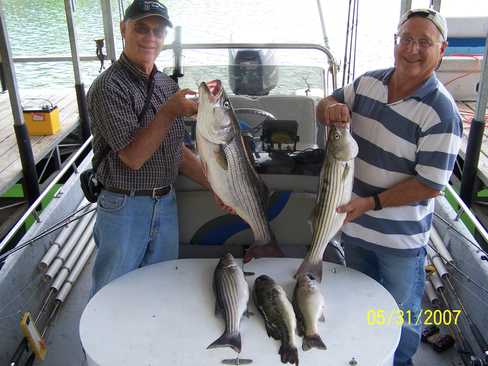 Nice Striped Bass