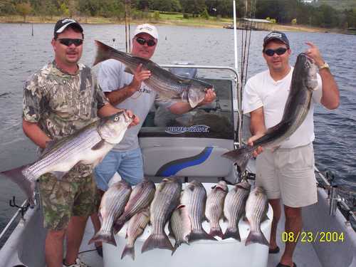 Nice Striped Bass