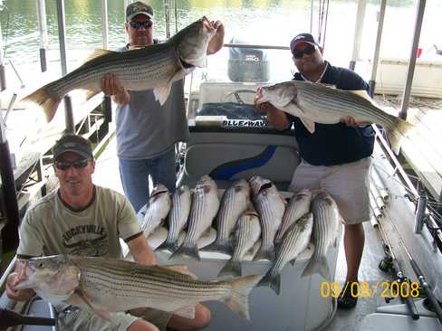 Nice Striped Bass