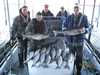 (10/31/2009) - Nice Striped Bass