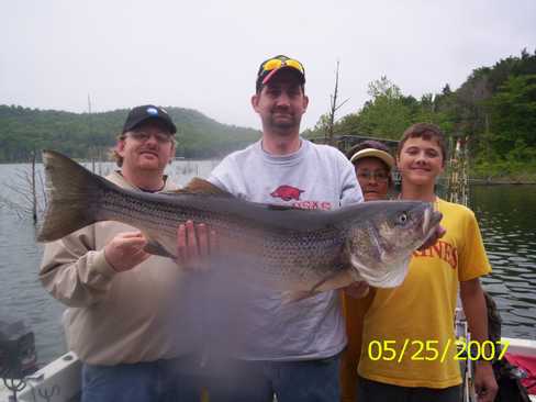 Nice Striped Bass