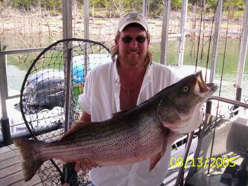 Nice Striped Bass