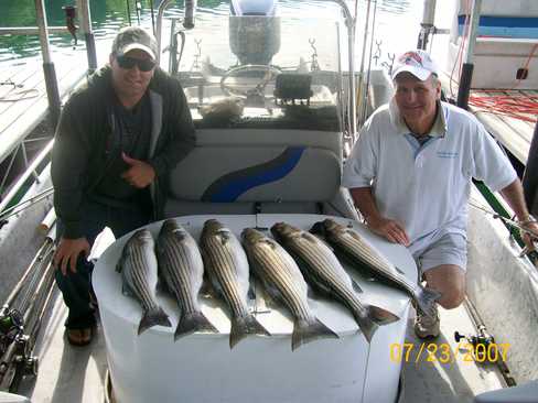 Nice Striped Bass