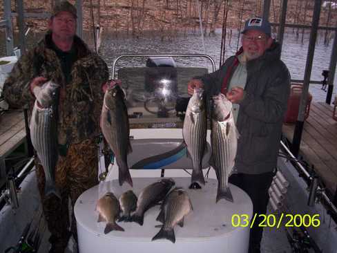 Nice Striped Bass