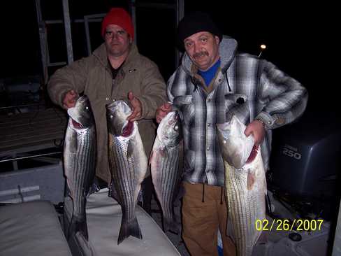 Nice Striped Bass