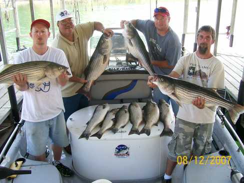 Nice Striped Bass