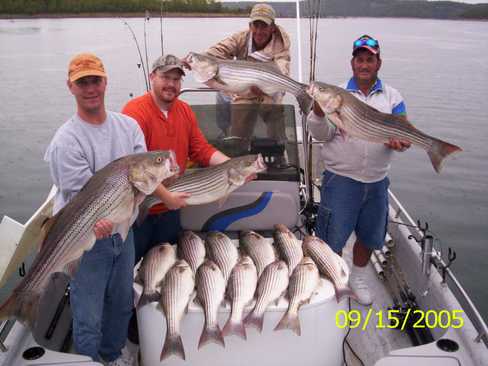 Nice Striped Bass