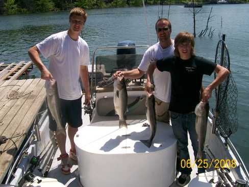 Nice Striped Bass