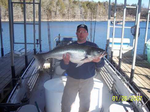 Now that is a Hog Striper