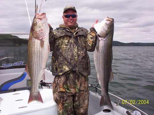 Nice Striped Bass