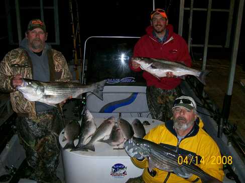 Nice Striped Bass