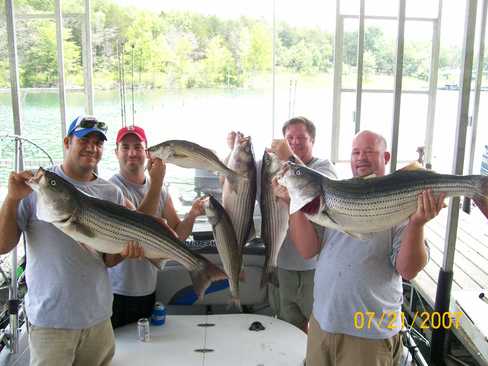 Nice Striped Bass