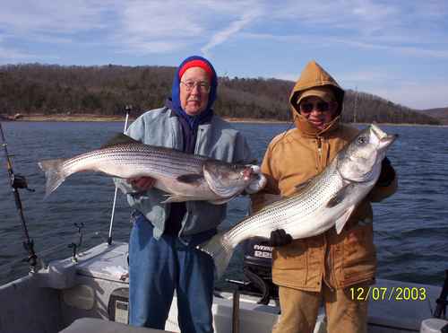 These could be your Stripers