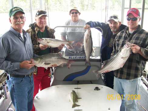 Nice Striped Bass