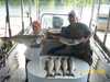 (07/07/2008) - Nice Striped Bass